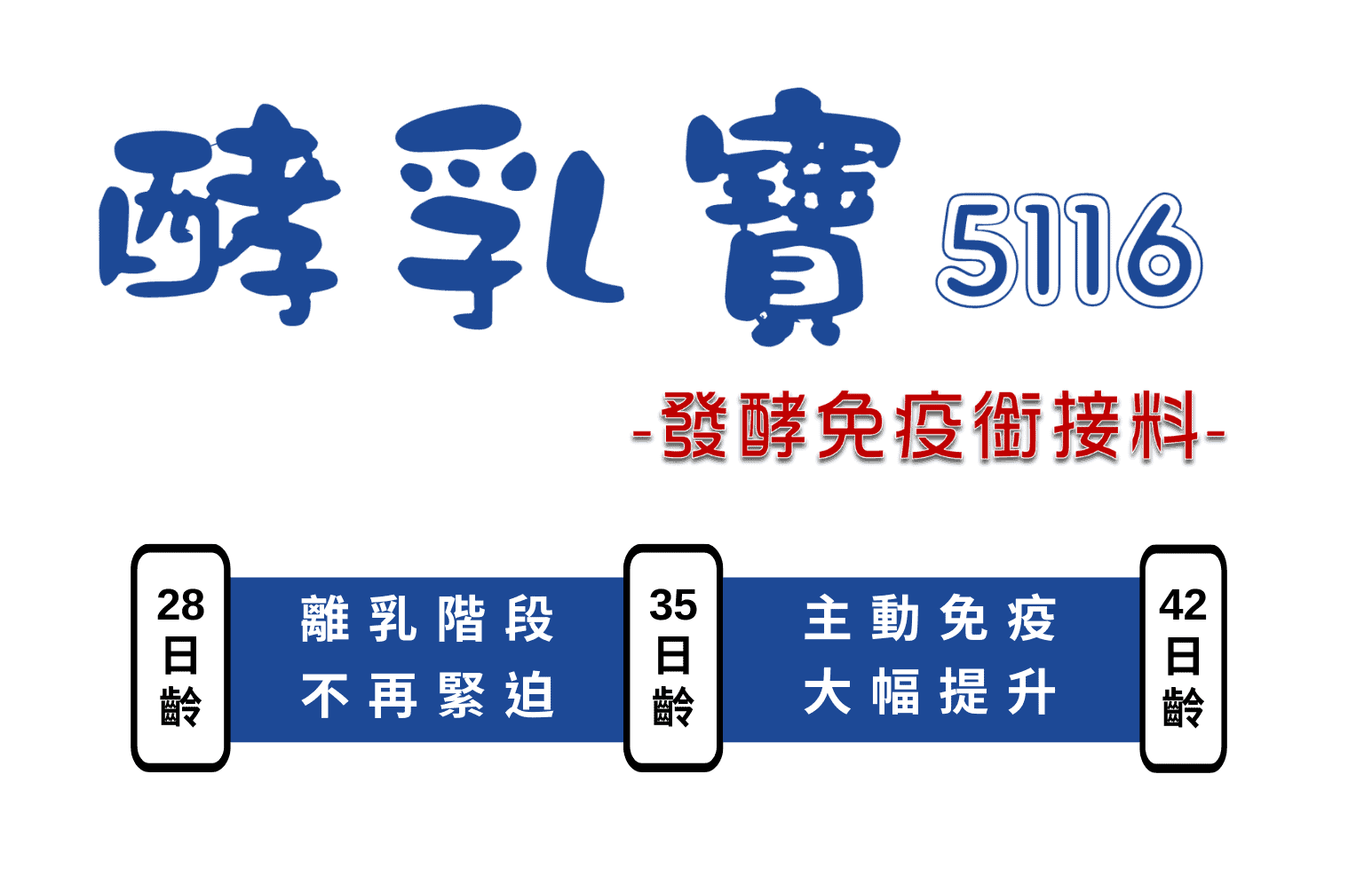 5116 網頁用