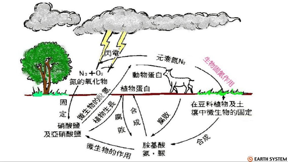 關於我們 12 about 關於公司 企業遠景