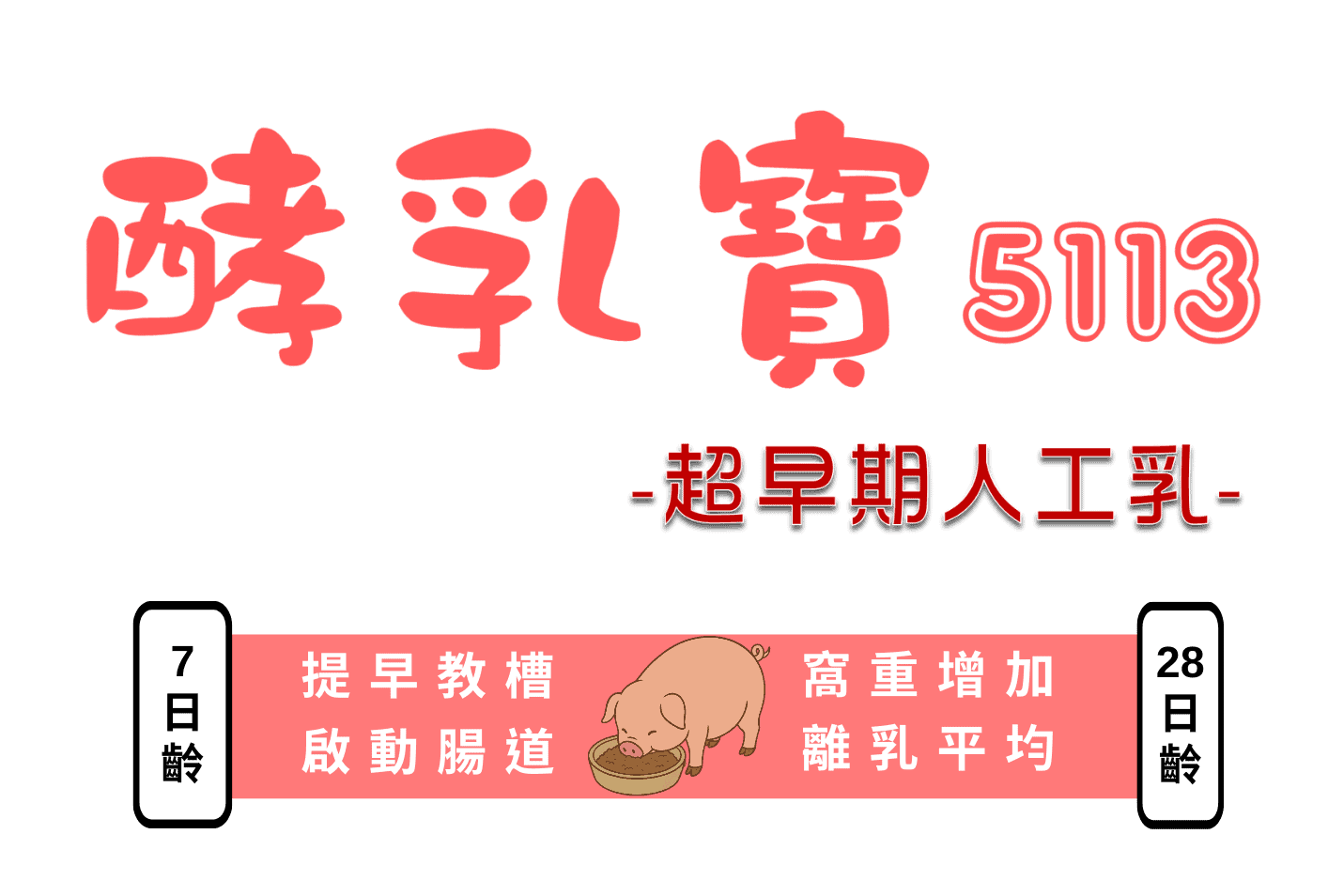 5113 網頁用 2