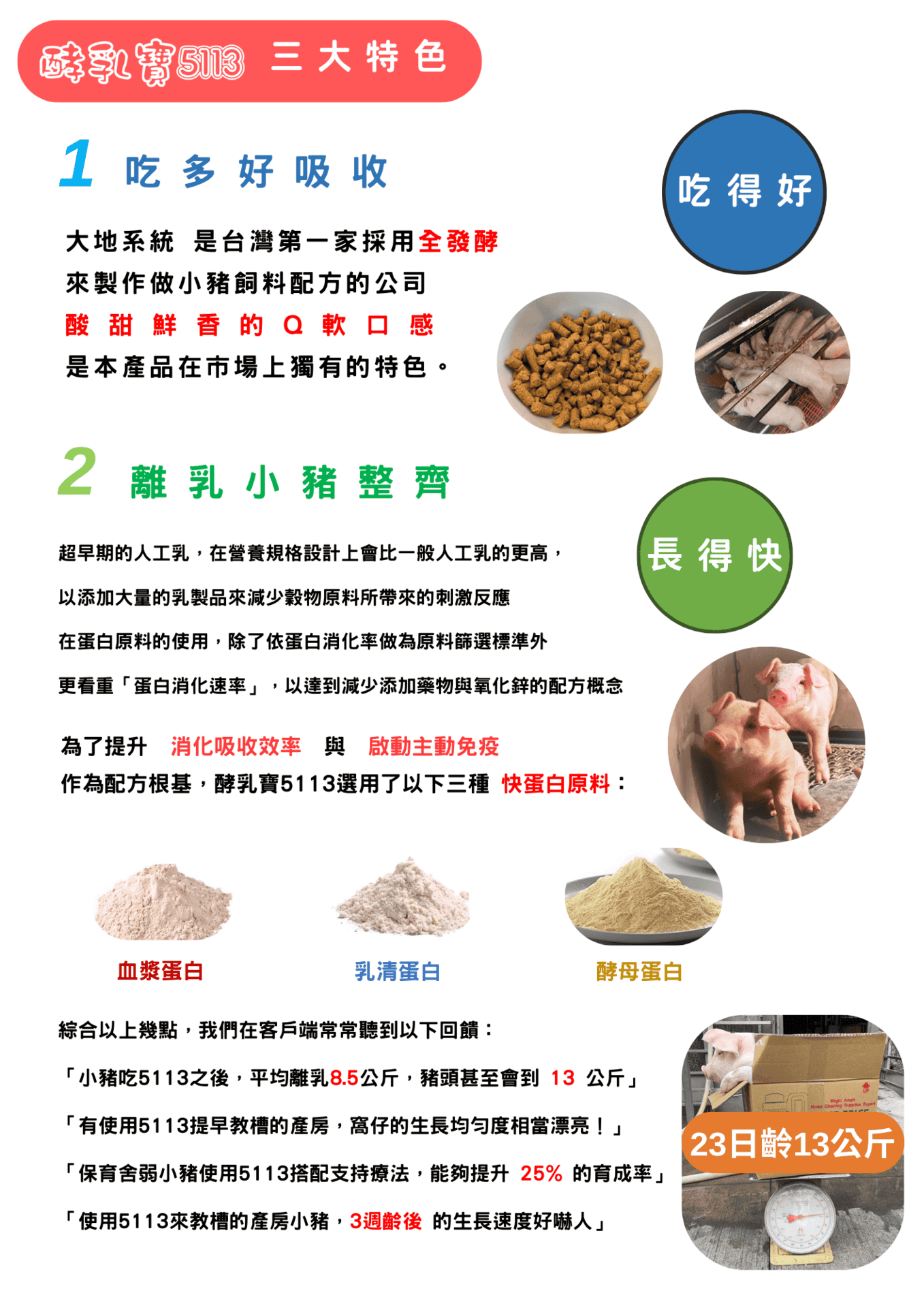 酵乳寶 5113 三大特色 1. 吃多好吸收  大地系統是台灣第一家採用全發酵來製作小豬飼料配方的公司。  酸甜鮮香的Q軟口感是本產品在市場上獨有的特色。  2. 離乳小豬整齊  超早期的人工乳，在營養規格設計上會比一般人工乳的更高，以添加大量的乳製品來減少穀物原料所帶來的刺激反應。  在蛋白原料的使用，除了依蛋白消化率做為原料篩選標準外，更看重**「蛋白消化速率」**，以達到減少添加藥物與氧化鋅的配方概念。 為了提升消化吸收效率與啟動主動免疫，作為配方根基，酵乳寶5113選用了以下三種快蛋白原料：  血漿蛋白  乳清蛋白  酵母蛋白  綜合以上幾點，我們在客戶端常常聽到以下回饋：  「小豬吃5113之後，平均離乳8.5公斤，豬頭甚至會到13公斤」  「有使用5113提早教槽的產房，窩仔的生長均勻度相當漂亮！」  「保育舍弱小豬使用5113搭配支持療法，能夠提升25%的育成率」  「使用5113來教槽的產房小豬，3週後的生長速度好嚇人」