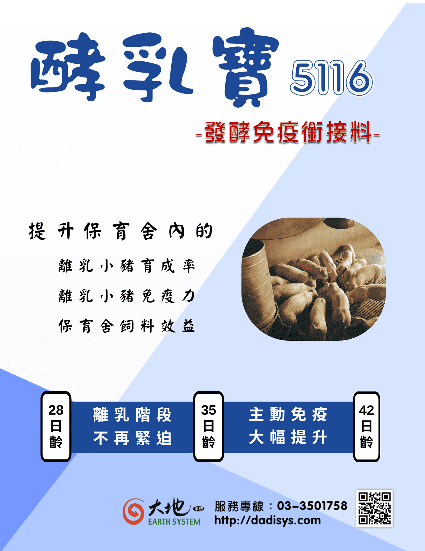 酵乳寶 5116－發酵免疫銜接料 提升保育舍內的 離乳小豬育成率 離乳小豬免疫力 保育舍飼料效益28日齡 → 離乳階段不再緊迫  35日齡 → 主動免疫大幅提升  42日齡