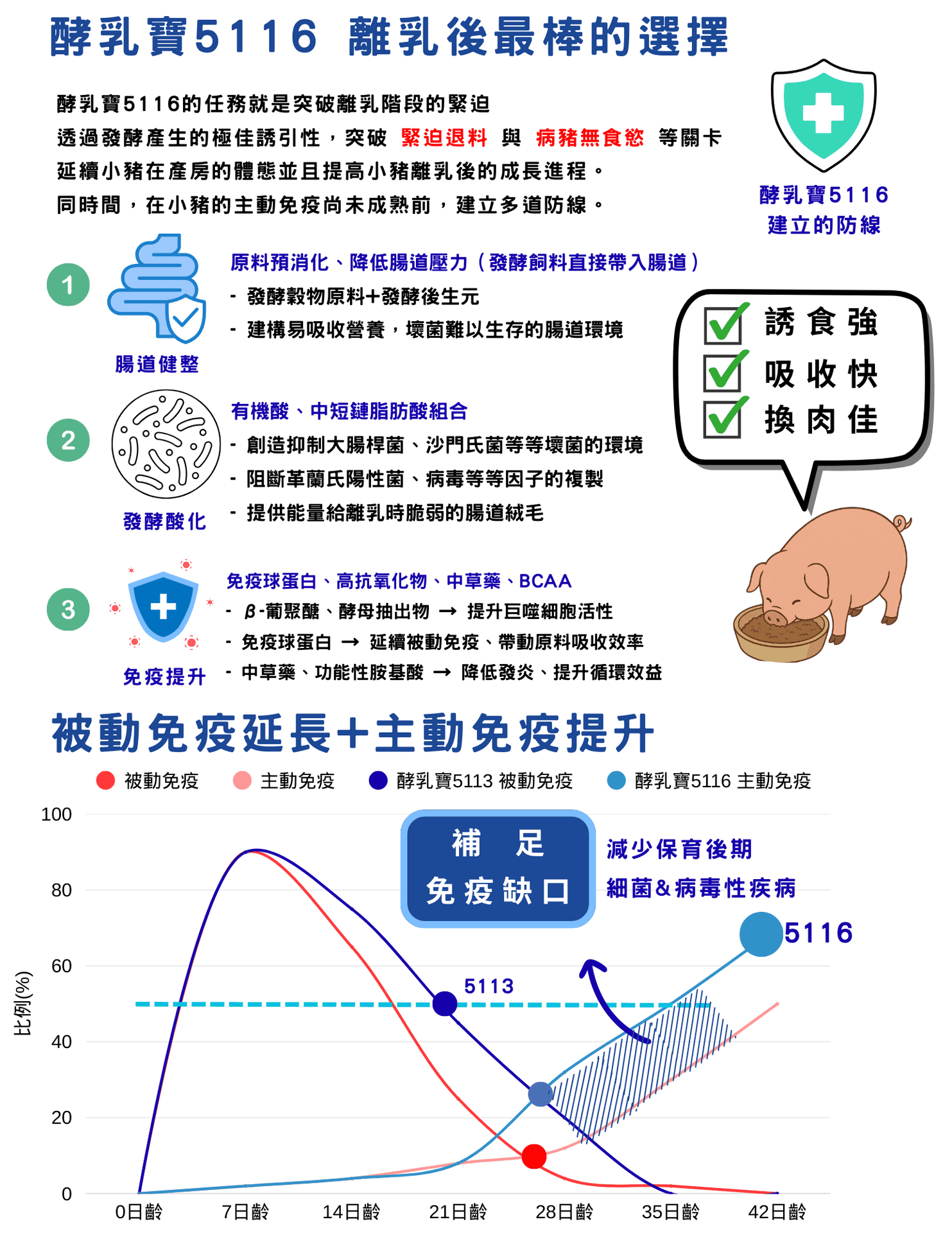 酵乳寶5116 離乳後最棒的選擇 酵乳寶5116的任務就是突破離乳階段的緊迫，透過發酵產生的極佳誘引性，突破 緊迫退料 與 病豬無食慾 等關卡，延續小豬在產房的體態並且提高小豬離乳後的成長進程。  同時，在小豬的主動免疫尚未成熟前，建立多道防線。  腸道健整  原料預消化、降低腸道壓力 (發酵飼料直接帶入腸道)  發酵穀物原料＋發酵後生元  建構易吸收營養，壞菌難以生存的腸道環境  發酵酸化  有機酸、中短鏈脂肪酸組合  創造抑制大腸桿菌、沙門氏菌等壞菌的環境  阻斷毒素、病毒等因子的複製  提供能量給離乳時脆弱的腸道絨毛  免疫提升  免疫球蛋白、高抗氧化物、中草藥、BCAA  β-葡聚醣、酵母抽出物 → 提升巨噬細胞活性  免疫球蛋白 → 延續被動免疫、帶動原料吸收效率  中草藥、功能性胺基酸 → 降低發炎、提升循環效益  酵乳寶5116 建立的防線  誘食強  吸收快  換肉佳 被動免疫延長 + 主動免疫提升的分析：  免疫力變化圖表分析 紅線（被動免疫）與粉紅線（酵乳寶5113被動免疫）：  紅線代表未介入前小豬的被動免疫，在第7日齡達到高峰後便快速下降，至第35日齡已趨近於零。  粉紅線代表使用了酵乳寶5113後，被動免疫的下降速度趨緩，這有助於延長來自母乳的保護力。  藍線（主動免疫）與淺藍線（酵乳寶5116主動免疫）：  淺藍線代表未介入前小豬的主動免疫，其上升速度非常緩慢，在第28日齡時僅有低點。  藍線代表使用了醇乳寶5116後，小豬的主動免疫得到顯著提升，其曲線在第21日齡後迅速上升，大幅縮小了免疫缺口（圖中帶有藍色斜線的區域）。  結論 圖片顯示，酵乳寶5113能延長小豬的被動免疫，讓其保護力維持更久。  酵乳寶5116則能顯著提升小豬的主動免疫。  兩種產品的協同作用，有效地補足了免疫缺口，從而減少了保育後期細菌及病毒性疾病的發生。