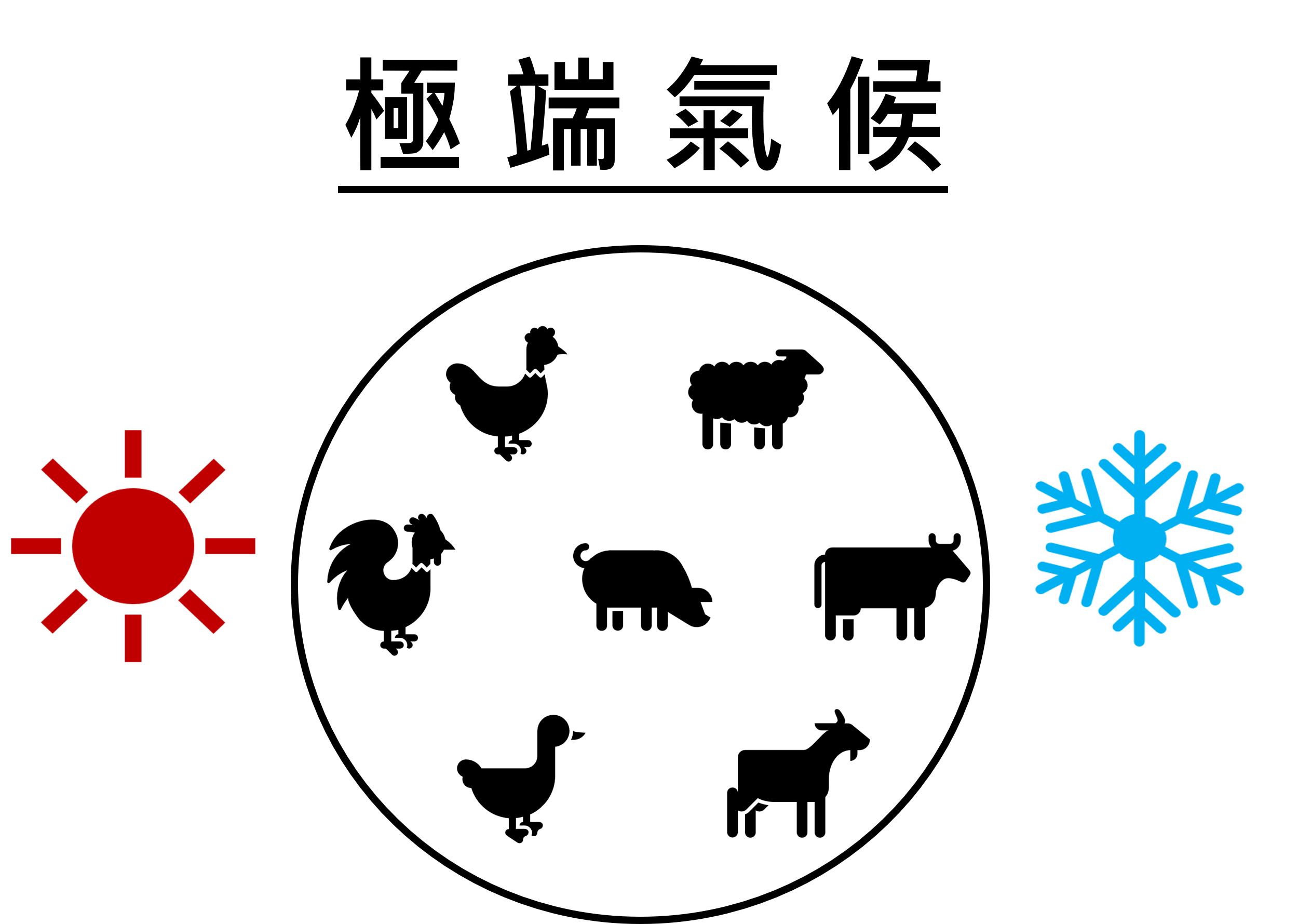 酵乳寶【功能性強化補助料 】 1 feed 002