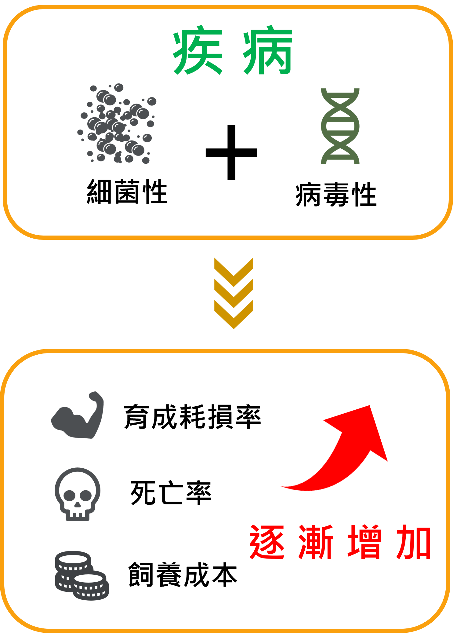 酵乳寶【功能性強化補助料 】 2 feed 003