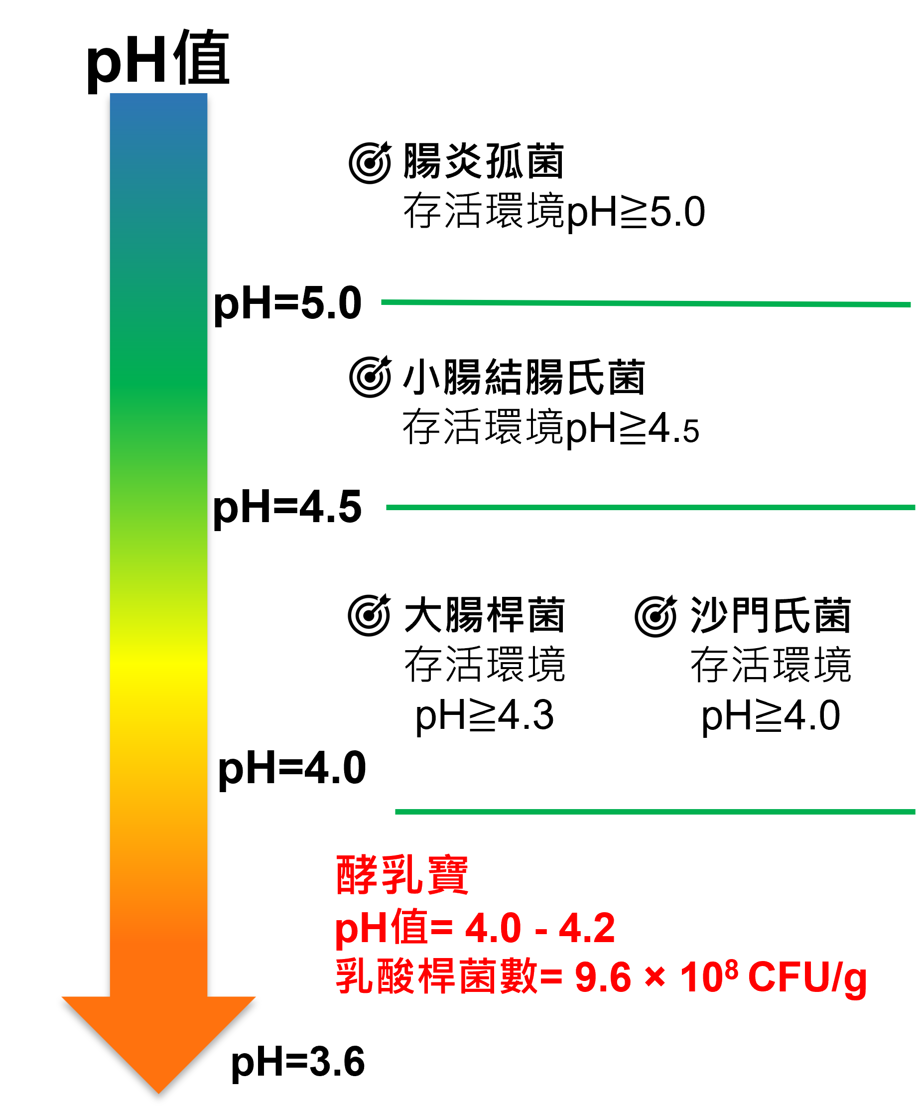 酵乳寶【功能性強化補助料 】 4 feed 005