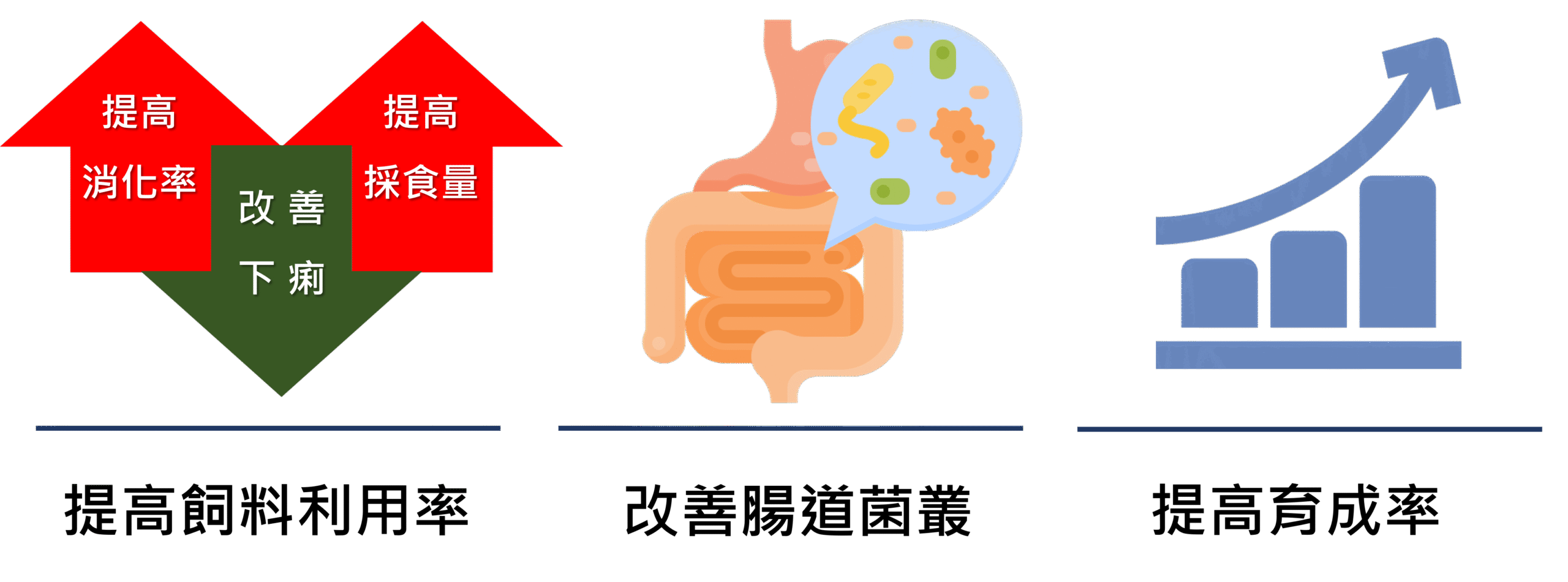 酵乳寶【功能性強化補助料 】 9 feed 007 scaled